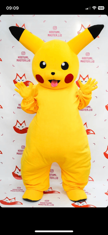 Костюм аниматора